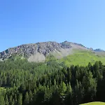 Franca E06 * Ароза